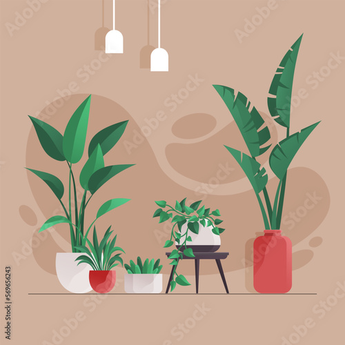 Plant in pot vector illustration flowerpots set. Cartoon flat different indoor potted decorative houseplants for interior home or office decoration, green garden floral collection in living room