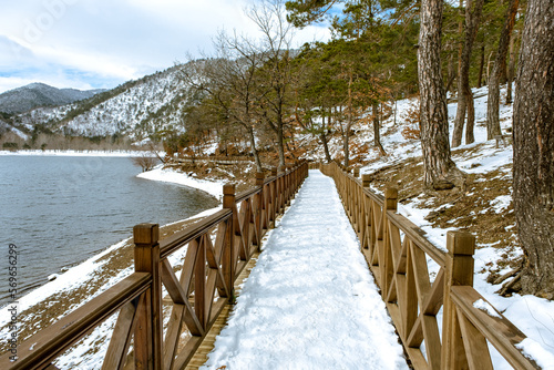 wooden bridge by the lake in winter © Ruhi