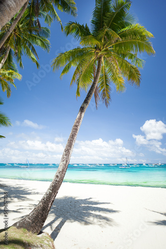 Fototapeta Naklejka Na Ścianę i Meble -  Pristine beach with palm trees, white sand and turquoise tropical sea. Travel destination