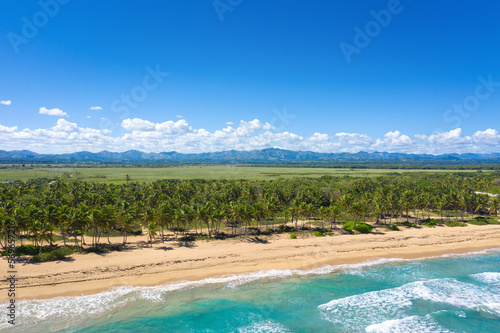 Tropical coastline with coconut palm trees and turquoise caribbean sea. Beautiful travel destination. Aerial view
