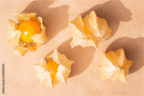 Physalis on a brown paper background