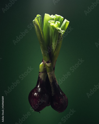 Onions on a green background