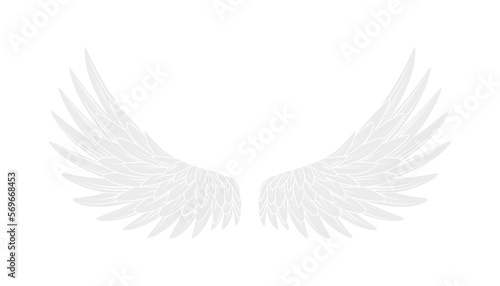light grey eagle wings on transparent background - illustration