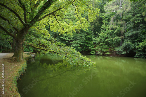 Small lake in Bergpark - landscape park in Kassel, Germany