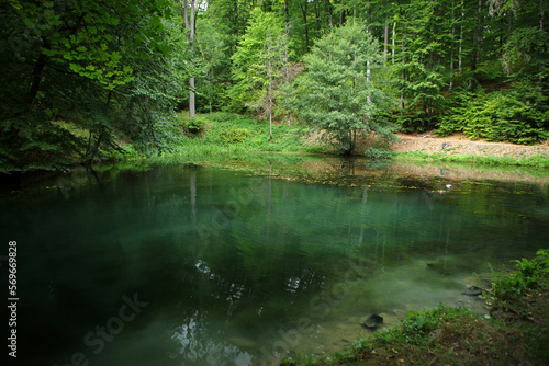 Fototapeta Naklejka Na Ścianę i Meble -  Small lake in Bergpark - landscape park in Kassel, Germany
