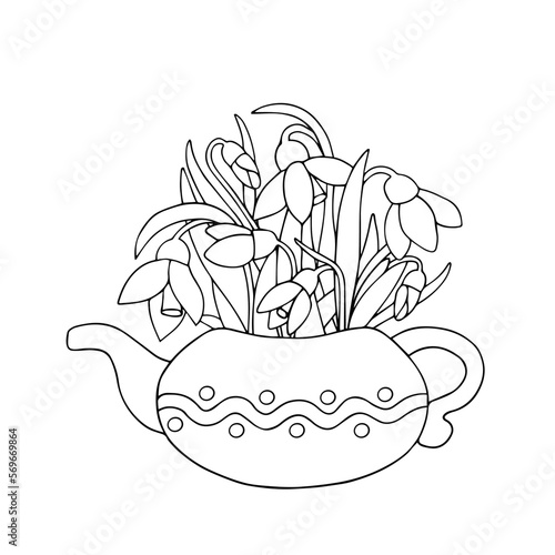 Linear sketch, coloring of a bouquet of spring snowdrop flowers.Vector graphics.