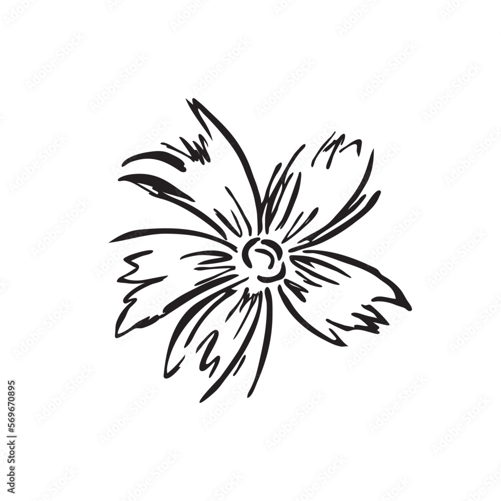 black and white flower vector black and white flower vector