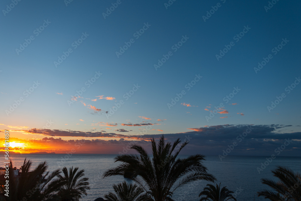 Amazing sunrise with palm trees and ocean in Madeira island. Beautiful sunset and blue sky with sea