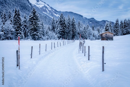 Verschneite Landschaft im Allgäu