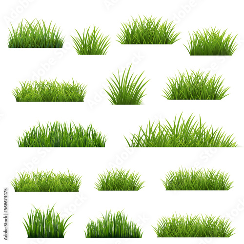 Grass Frame And Isolated White Background