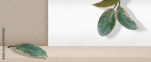 3d brown beige background products pedestal display with platform. Vector 3d studio rendering with podium and tropical leafs for show cosmetic products. 