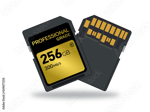 Illustration of a 256GB memory card isolated on a transparent background. New, faster, professional grade.