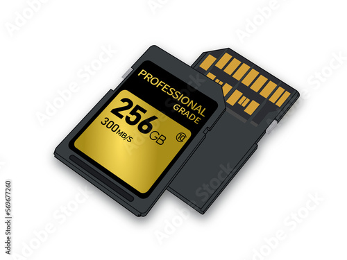 A new, faster, professional memory card. transparent background. front and back.