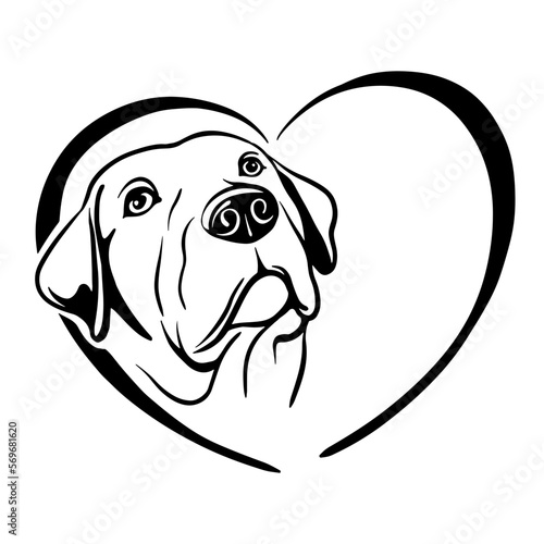 Heart dog love labrador retriever