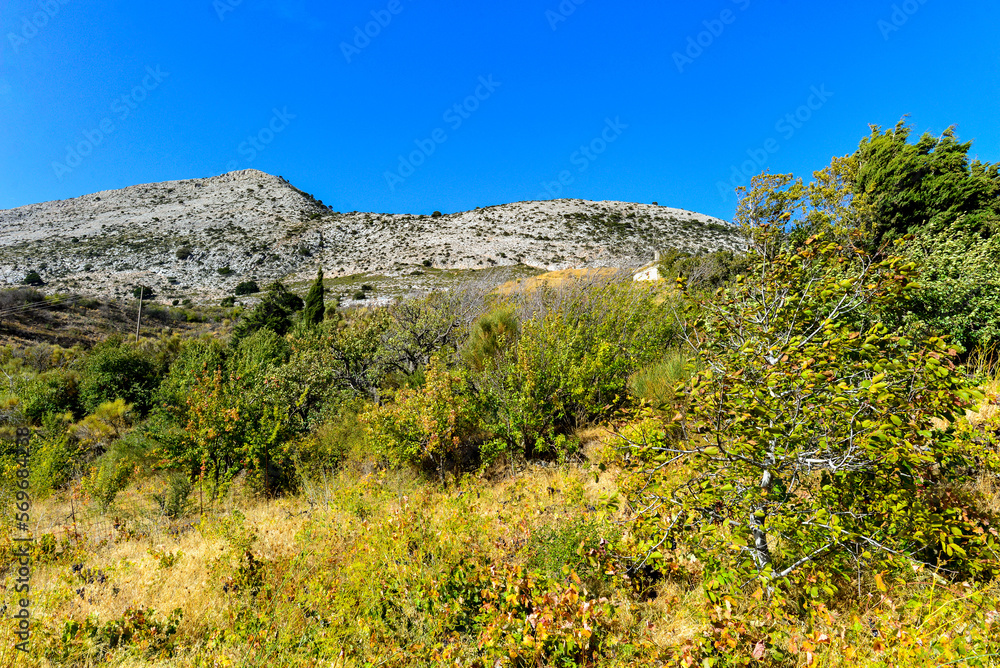 Weinbau im Dikti-Gebirge , Kreta, Griechenland 