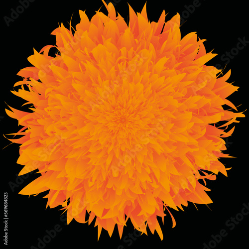 Flor de cempasúchil