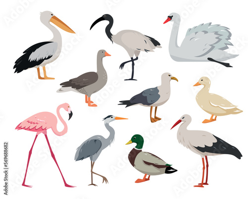 Aquatic and waterfowl Birds collection. Duck, flamingo, seagull, stork, heron, ibis, goose and swan in different poses. Set of animals Vector icons illustration isolated on white background.