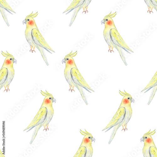 Watercolor corella yellow parrot seamless pattern on white