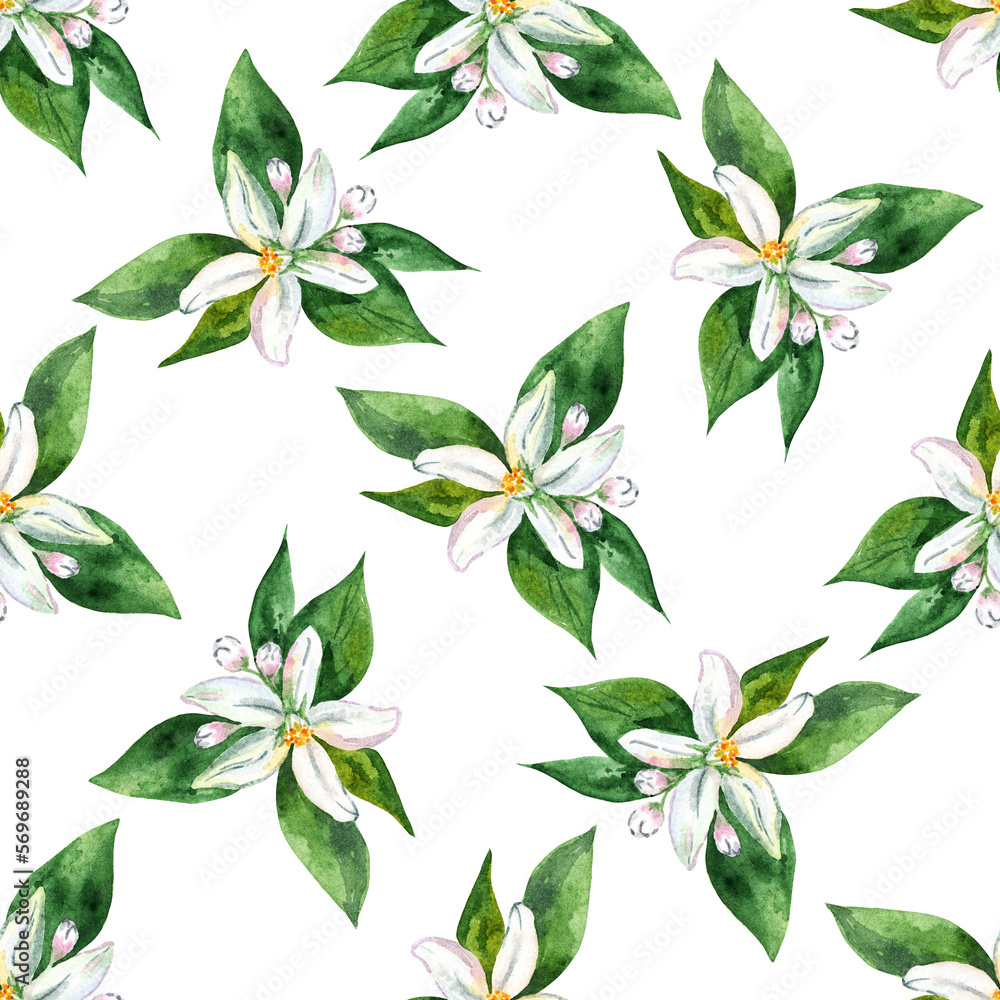 Watercolor lemon white flowers seamless pattern on white Watercolor lemon white flowers seamless pattern on white