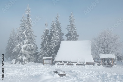 Wallpaper Mural Amazing winter scenery of Tatra Mountains - Rusinowa Polana (Rusinowa Glade) with 
shepherd's huts, Tatra National Park, Poland Torontodigital.ca