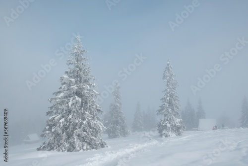Amazing winter scenery of Tatra Mountains - Rusinowa Polana (Rusinowa Glade) with shepherd's huts, Tatra National Park, Poland
