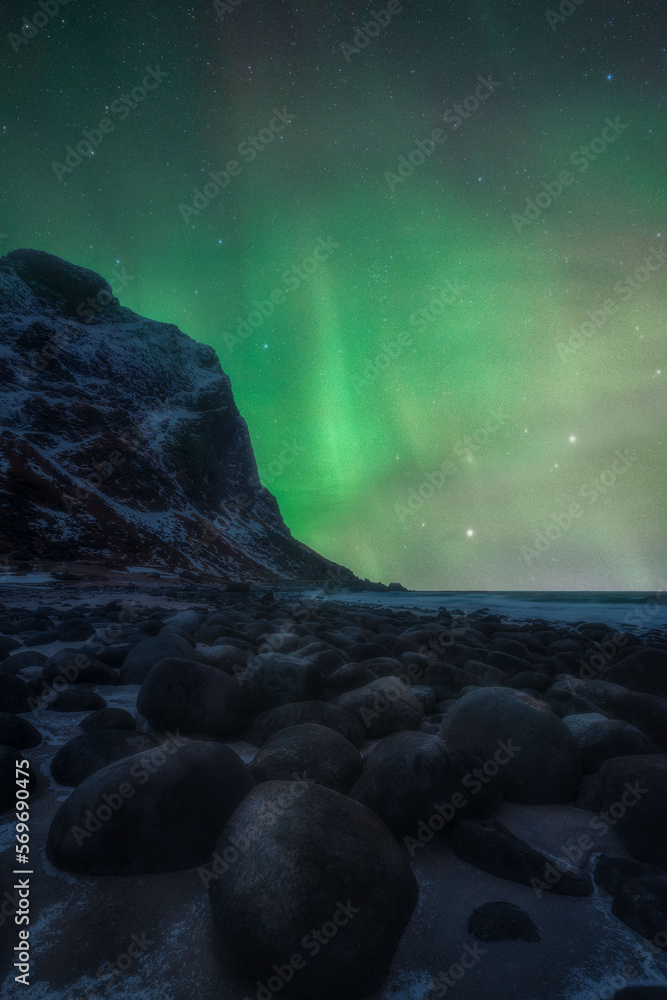 Aurora in winter by the sea in Lofoten Islands, Norway