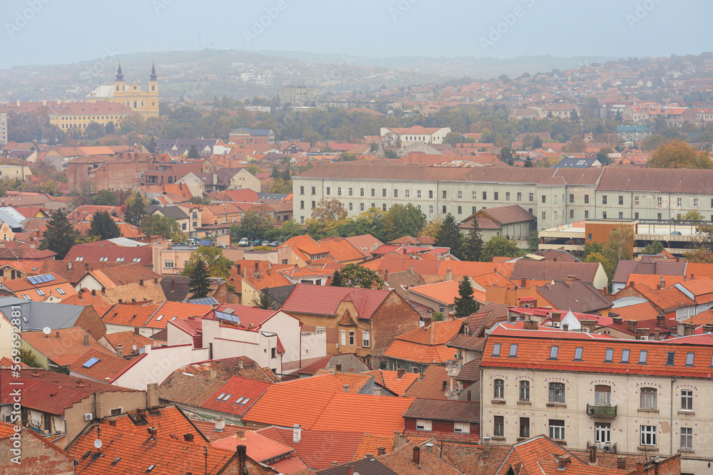 Oradea culture and history. Highlight the historic city centers of Oradea, with their charming cobblestone streets, historic buildings, and vibrant local life, churches, synagogues, and temples