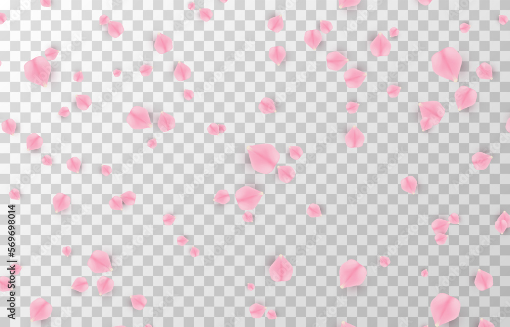 Vector falling rose petals png. Falling sakura petals, roses png. Pink petals png. Petals for Valentine's Day, Mother's Day, March 8.