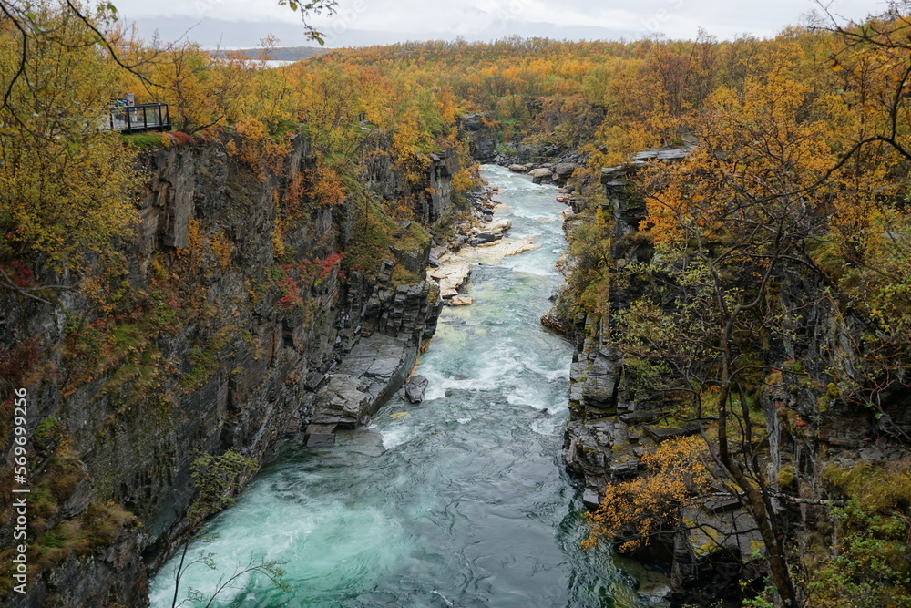River in Abisko, Sweden in a canyon with steep rock walls and autumn colored mountain birch River in Abisko, Sweden in a canyon with steep rock walls and autumn colored mountain birch