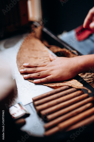 Preparación de tabaco dominicano.