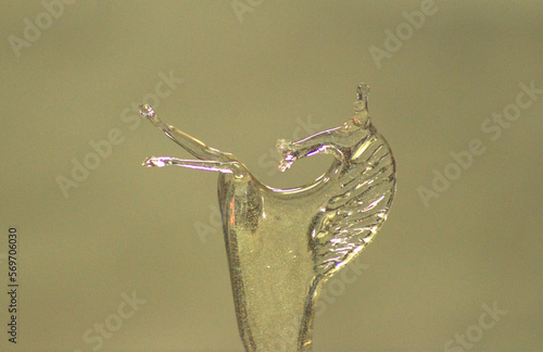 drops of water