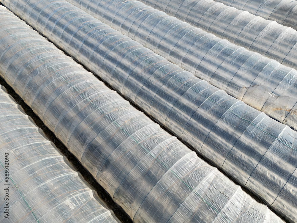 Folientunnel in der Landwirtschaft Stock Photo | Adobe Stock