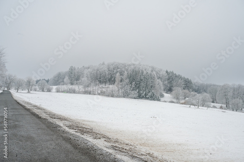 Winter landscape with road in front, forest in the distance with lots of snow