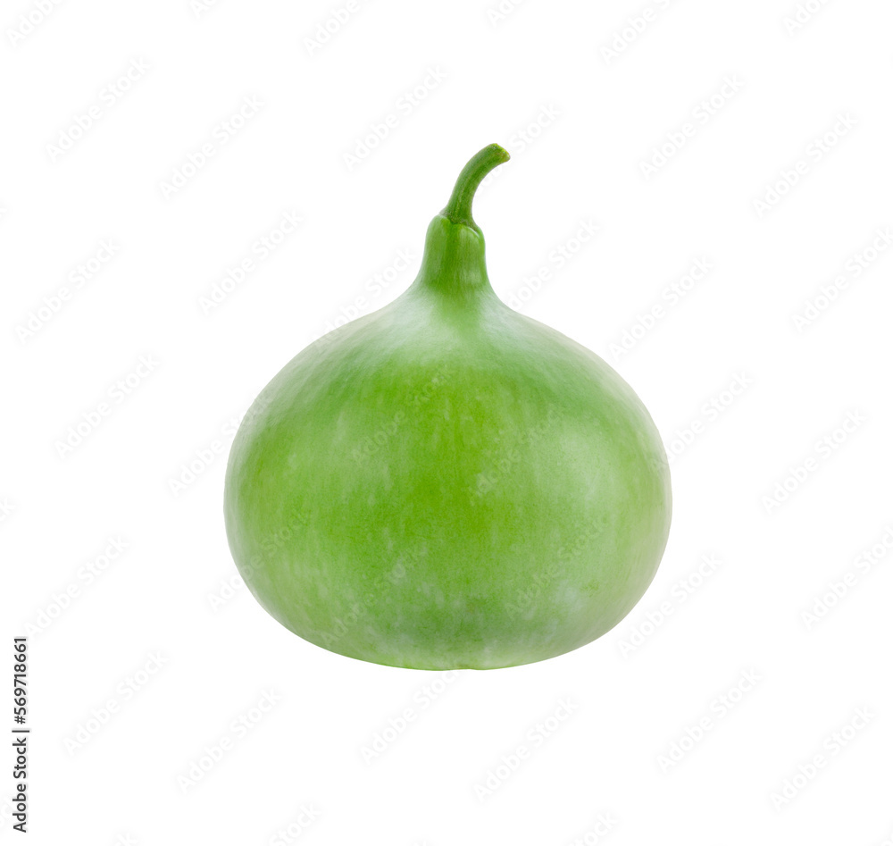 calabash isolated on transparent png calabash isolated on transparent png