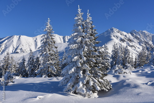 zima, śnieg, drzewa, krajobraz, niebo, biała, mróz, śnieżny, tpn,  © Albin Marciniak
