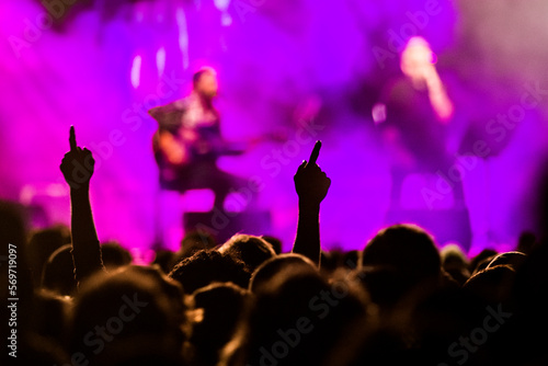Multitud de gente viendo un concierto de rock