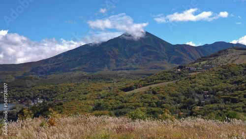 長野県 白樺湖と蓼科山とススキの秋景色
