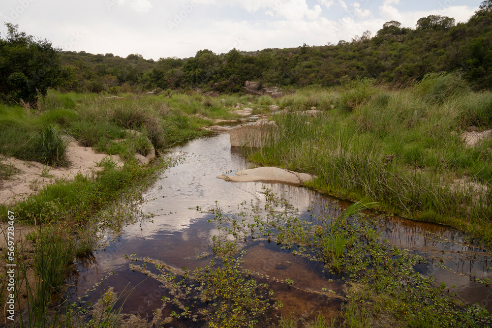 View of the stream flowing across the green meadow in the hills in Trompa de Elefante natural reserve in Cordoba, Argentina.