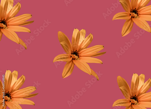 Yellow flowers pattern on pink background - Floral wallpaper