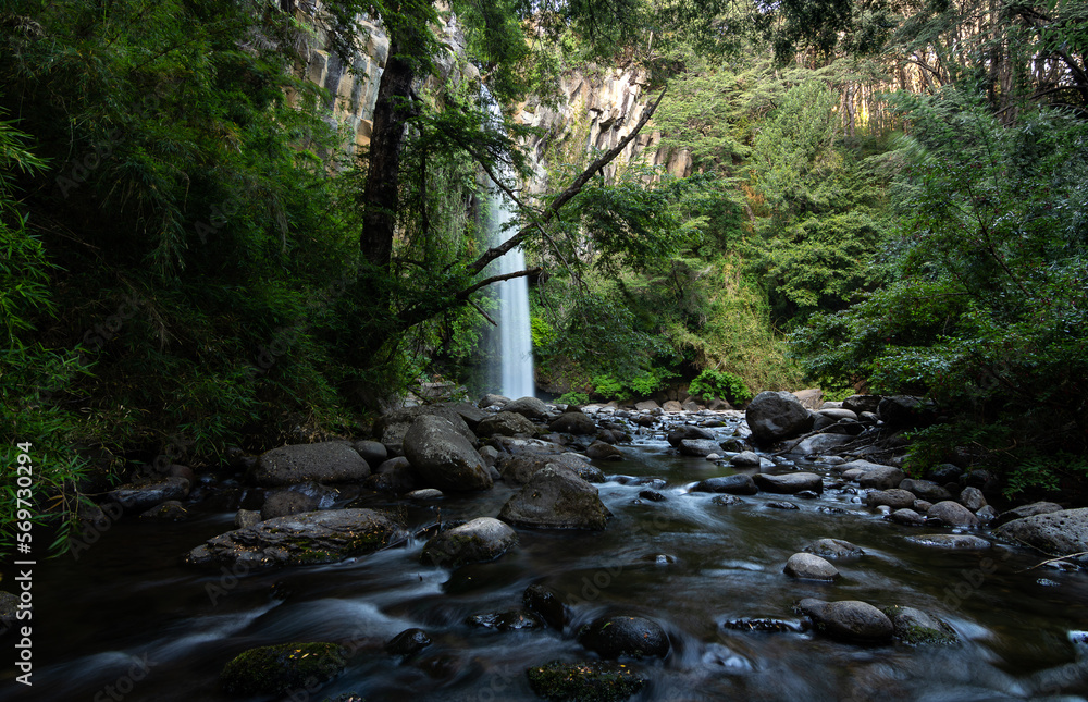 Bosque Nativo y salto de la Princesa, en la Araucania Andina, region de la Araucania, Chile Bosque Nativo y salto de la Princesa, en la Araucania Andina, region de la Araucania, Chile