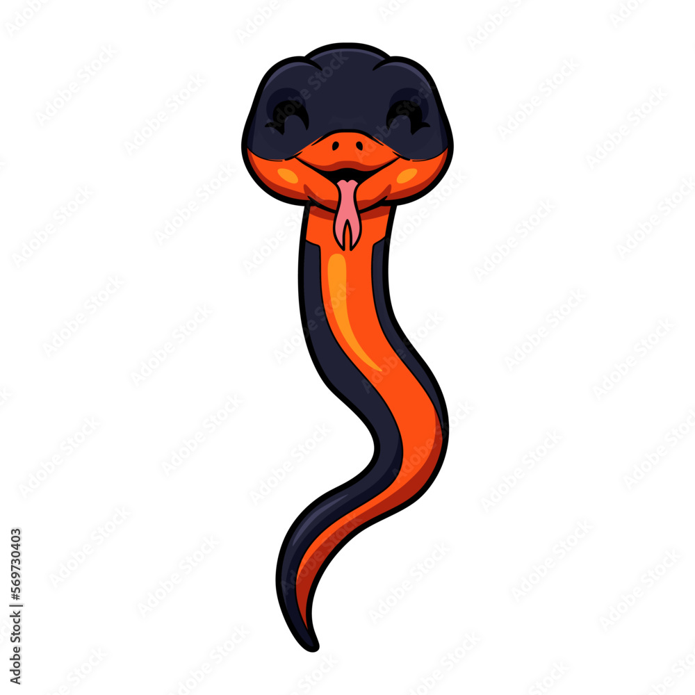 Fototapeta premium Cute ring necked snake cartoon