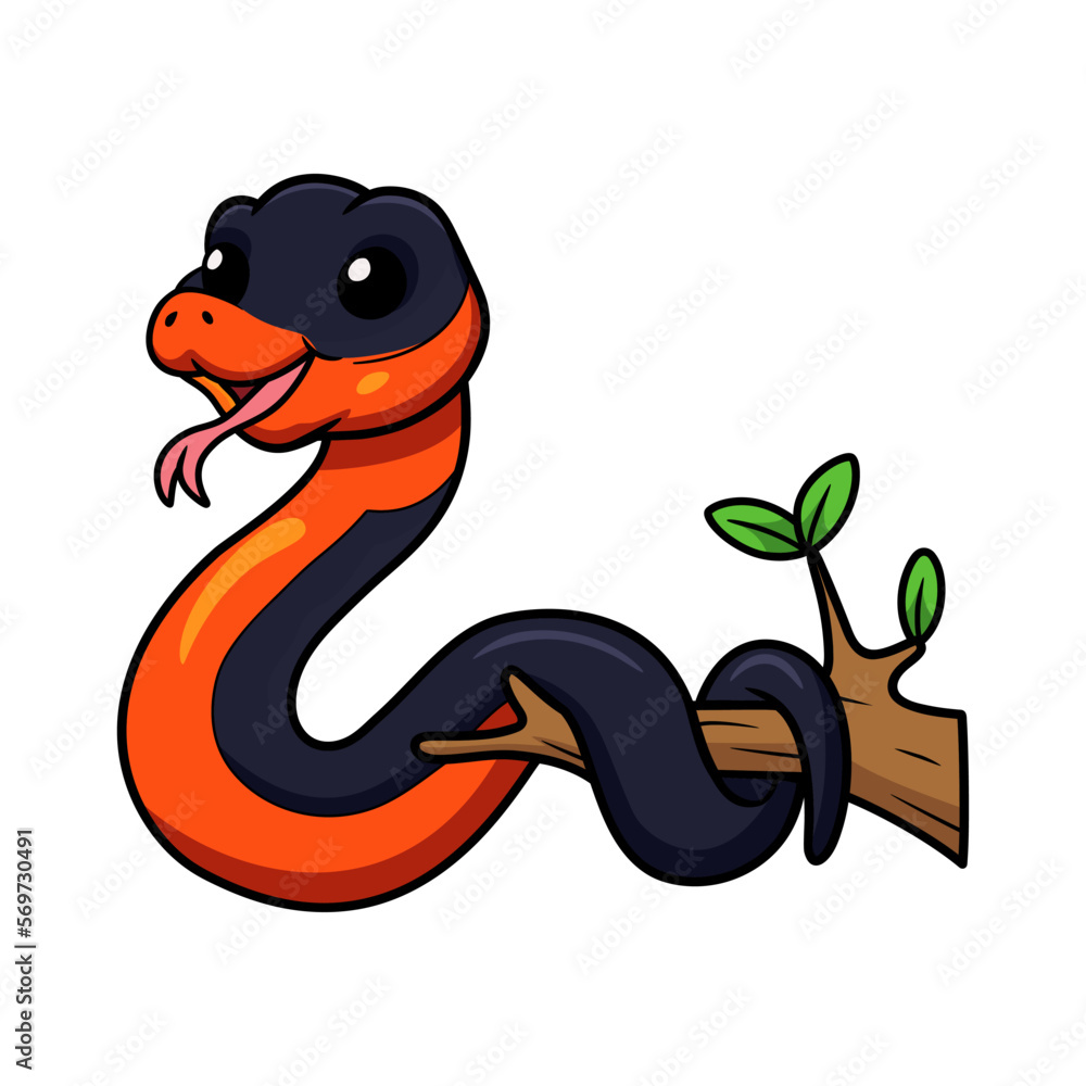 Fototapeta premium Cute ring necked snake cartoon on tree branch