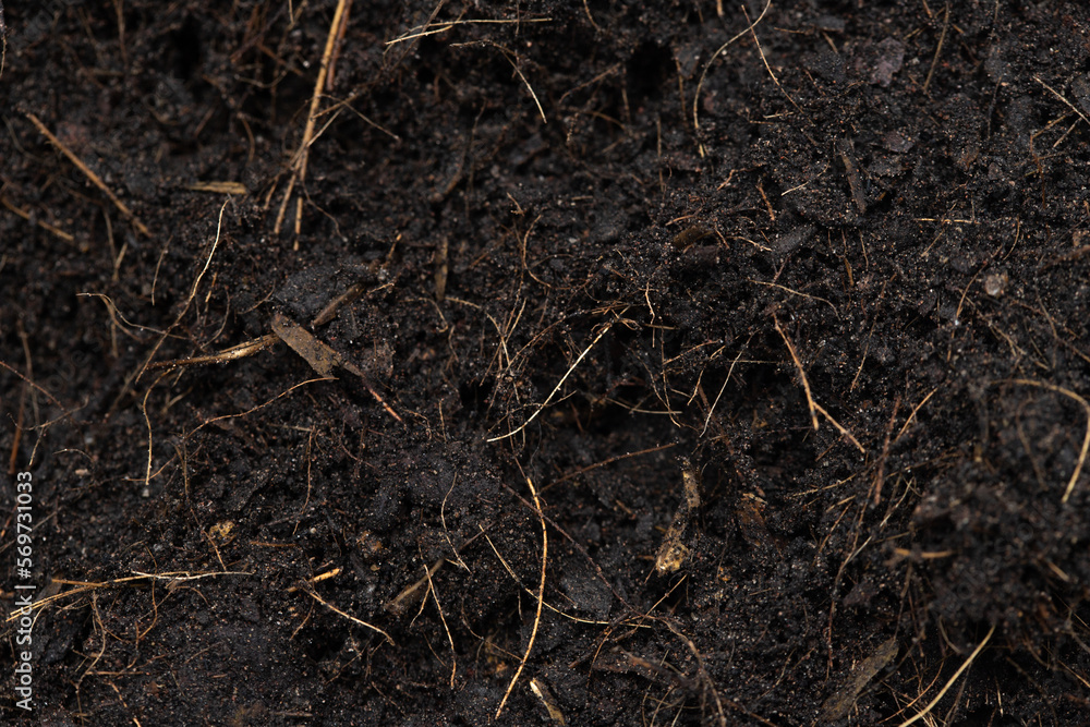 Black Fertilize Soil ready to planting, good organic soils with root for garden farming, pile set texture detail of soil with roots dust dirty. close up selective focus over White background Isolated Black Fertilize Soil ready to planting, good organic soils with root for garden farming, pile set texture detail of soil with roots dust dirty. close up selective focus over White background Isolated