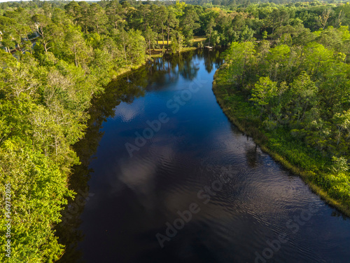 Fototapeta Naklejka Na Ścianę i Meble -  High angle view of a reflective black river water surface in the middle of a forest in Navarre, FL. Curved waterway running through the forest.