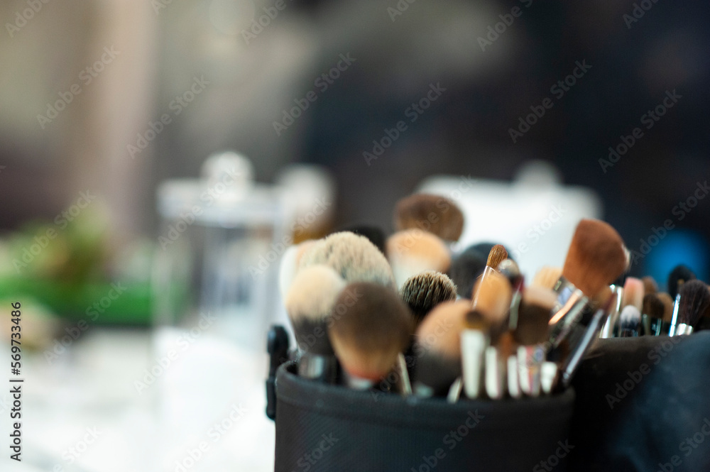 Professional makeup brushes
