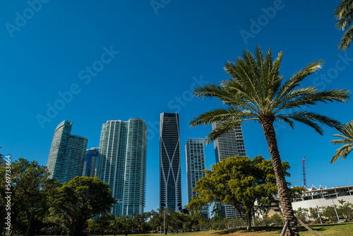 Downtown of the city of Miami, USA. Miami Skyline. modern building in miami city florida usa america.  © Strikernia