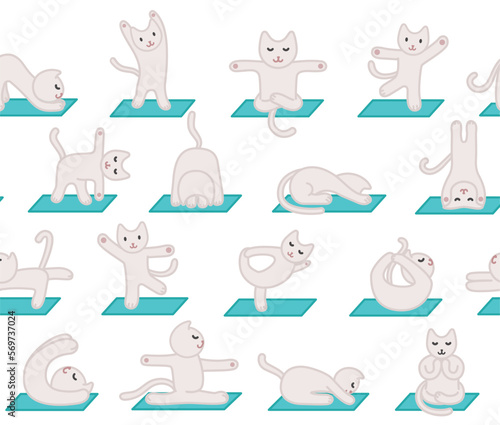 Fototapeta Naklejka Na Ścianę i Meble -  Cat yoga seamless pattern. Repeating design element for printing on fabric. Character goes in for sports and stretching. Active and healthy lifestyle, kitten on mat. Cartoon flat vector illustration