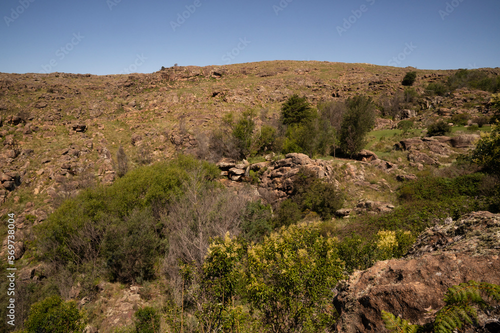 View of the hills and forest in a sunny day.