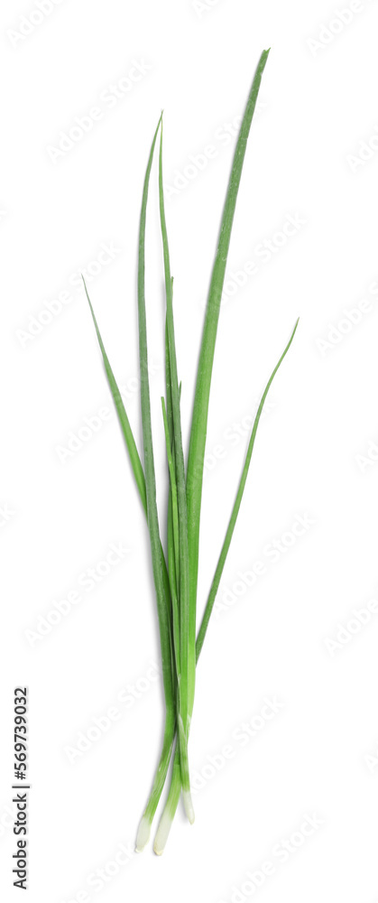 Fresh green spring onions on white background, top view