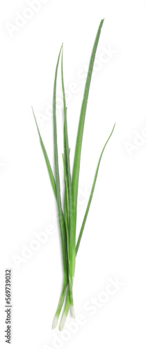 Fresh green spring onions on white background  top view